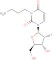 2'-Deoxy-2'-fluoro-N3-(3-aminopropyl)uridine