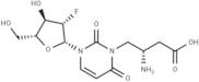 2’-Deoxy-2’-fluoro-N3-(2S)-(2-amino-3-carbonyl]propyl-β-D-arabinouridine