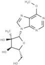 2′-C-Methyl-6-O-methylinosine