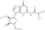 2’-O-Methyl-N2-isobutyroylguanosine