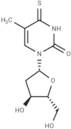 4-Thiothymidine