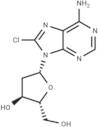 8-Chloro-2’-deoxyadenosine