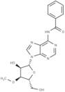 N6-Benzoyl-3’-O-methyladenosine