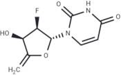 4’,5’-Didehydro-2’,5’-dideoxy-2’-fluorouridine