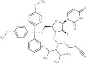 2'-Fluoro-2'-deoxy-ara-U-3'-phosphoramidite