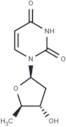 2’,5’-Dideoxyuridine