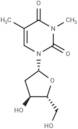 N3-Methylthymidine