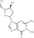 2’-Deoxy-N1-methylguanosine