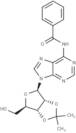 N6-Benzoyl-2',3'-isopropylidene adenosine