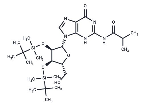 N2-iBu-2',3'-bis-O-TBDMS   guanosine