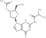 3’-O-Acetyl-N2-iso-Butyroyl-2’-deoxy-guanosine