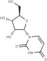 α-Uridine