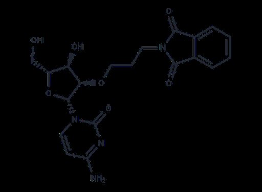 2'-O-Phthalimidopropyl cytidine