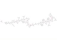 Neuromedin U (rat) acetate
