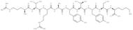 CEF27, Epstein-Barr Virus BRLF-1 lytic (148-156)