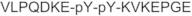 Tyrosine Protein Kinase JAK 2 (Phospho-Tyr8, 9)