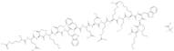 Antennapedia Peptide TFA