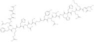 β-Amyloid (1-17)