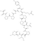 Hepatitis B Virus Core (128-140)