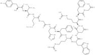 γ-2-MSH (41-58), amide