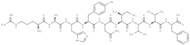 Human Papillomavirus (HPV) E7 protein (49-57)