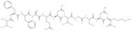 β-Amyloid (18-28)