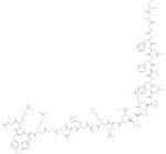 α 1(I) Collagen (614-639), human