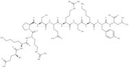 Myelin Basic Protein