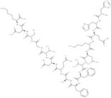 β-Amyloid (13-27)