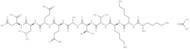 SEB Domain 144-153 acetate