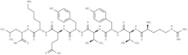 β-catenin peptide