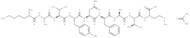 LCMV gp33-41 acetate