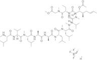 Cyclosporin A-Derivative 1