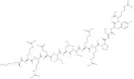 CREBtide