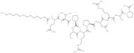 DynaMin inhibitory peptide, myristoylated