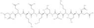 RAGE antagonist peptide