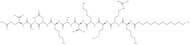 Pep2m, myristoylated