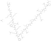 Camstatin acetate