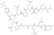 pp60 c-src (521-533) (phosphorylated)