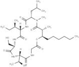 Globomycin