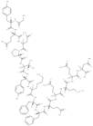 Amyloid Precursor C-Terminal Peptide