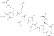 Large T antigen - rhesus polyomavirus 560-568