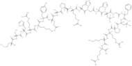 Ribosomal protein L3 peptide (202-222) amide