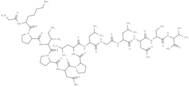 V5 Epitope Tag Peptide