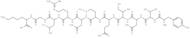 VSV-G Peptide