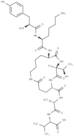 PDZ1 Domain inhibitor peptide