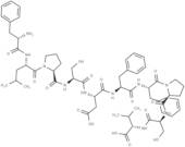 HBcAg [Hepatitis B virus] (18-27)