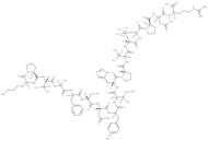 coagulation factor II (thrombin) B chain fragment [Homo sapiens]