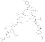 Cytochrome c fragment (93-108)