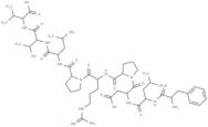 Cytochrome P450 CYP1B1 (190-198) [Homo sapiens]